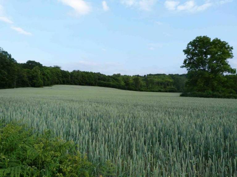 4ft_Vue sur la campagne.jpg